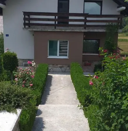 Apartman Suzana 公寓